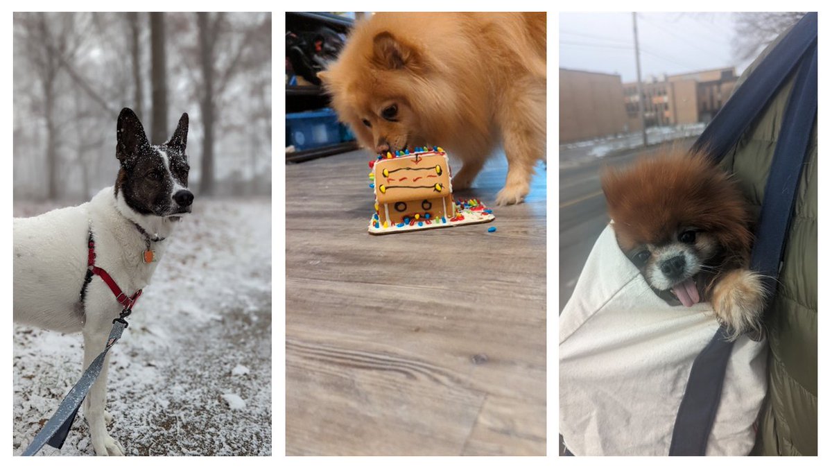 AlexEdCarter's tweet photo. Please take 5 minutes to help my Principles of Strat Comm class?

They are doing a competition for #NationalPetDay where they made social media posts for Carter's Cafe.

This survey made by my Research Methods Class will decide the winner!
https://t.co/tNroCG7NHC https://t.co/wixV8kFNQM