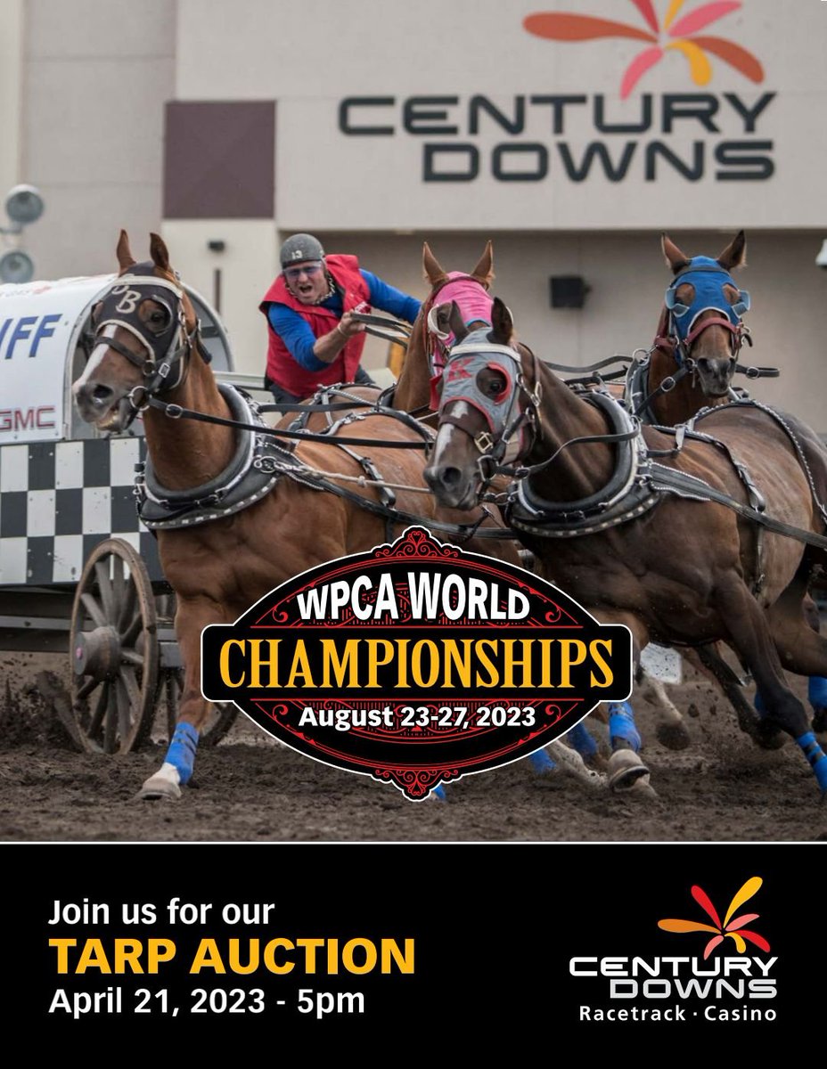 The driver auction order for the <a href="/CenturyDowns/">Century Downs</a> Tarp Auction has been released.

34 drivers and 2 Wild Cards will be up for bid.

Learn more at wpca.com.

#wpcachucks #Auction #casino #horses 

wpca.com/century-downs-…
