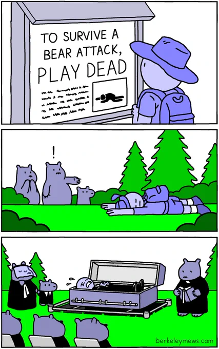 play dead 