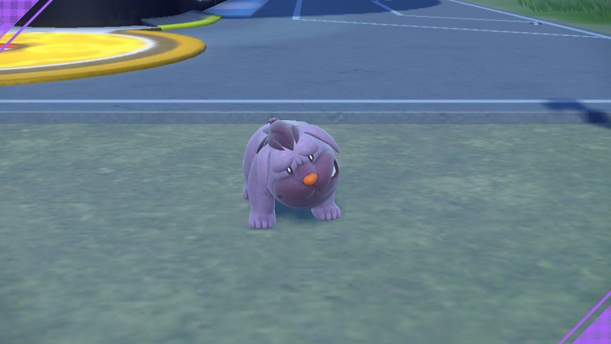 IslandRepKatie's tweet photo. #PokemonScarletViolet #NintendoSwitch https://t.co/dM8UpSd244