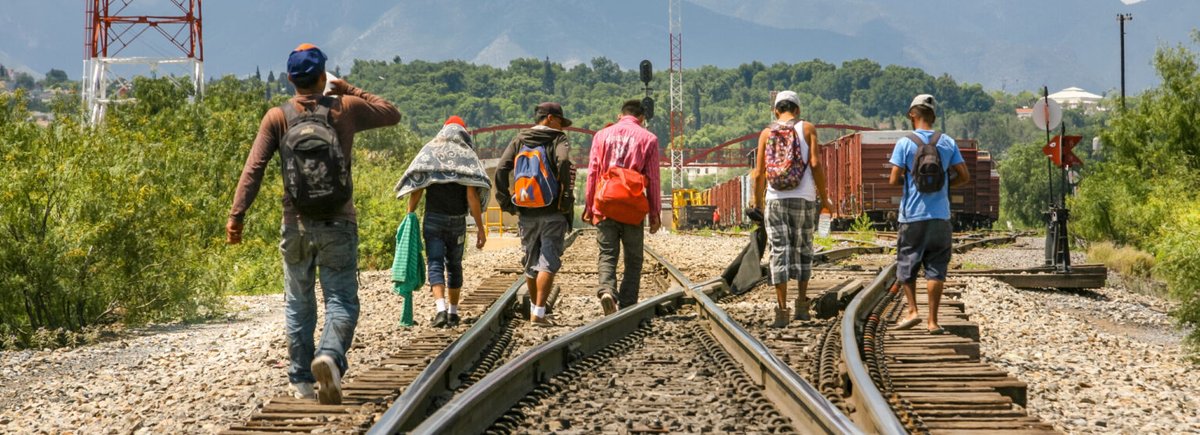 elcolmex's tweet photo. El #GrupoTrabajoMigración #MigrationTaskForce propone respuestas colectivas a los problemas de largo plazo que obligan a las personas #migrantes a abandonar sus hogares.
Conoce los documentos de investigación 🔎 https://t.co/efBghxaYj3
@wrmcouncil @USMEXUCSD @MigrationPolicy https://t.co/POtWciTMTz