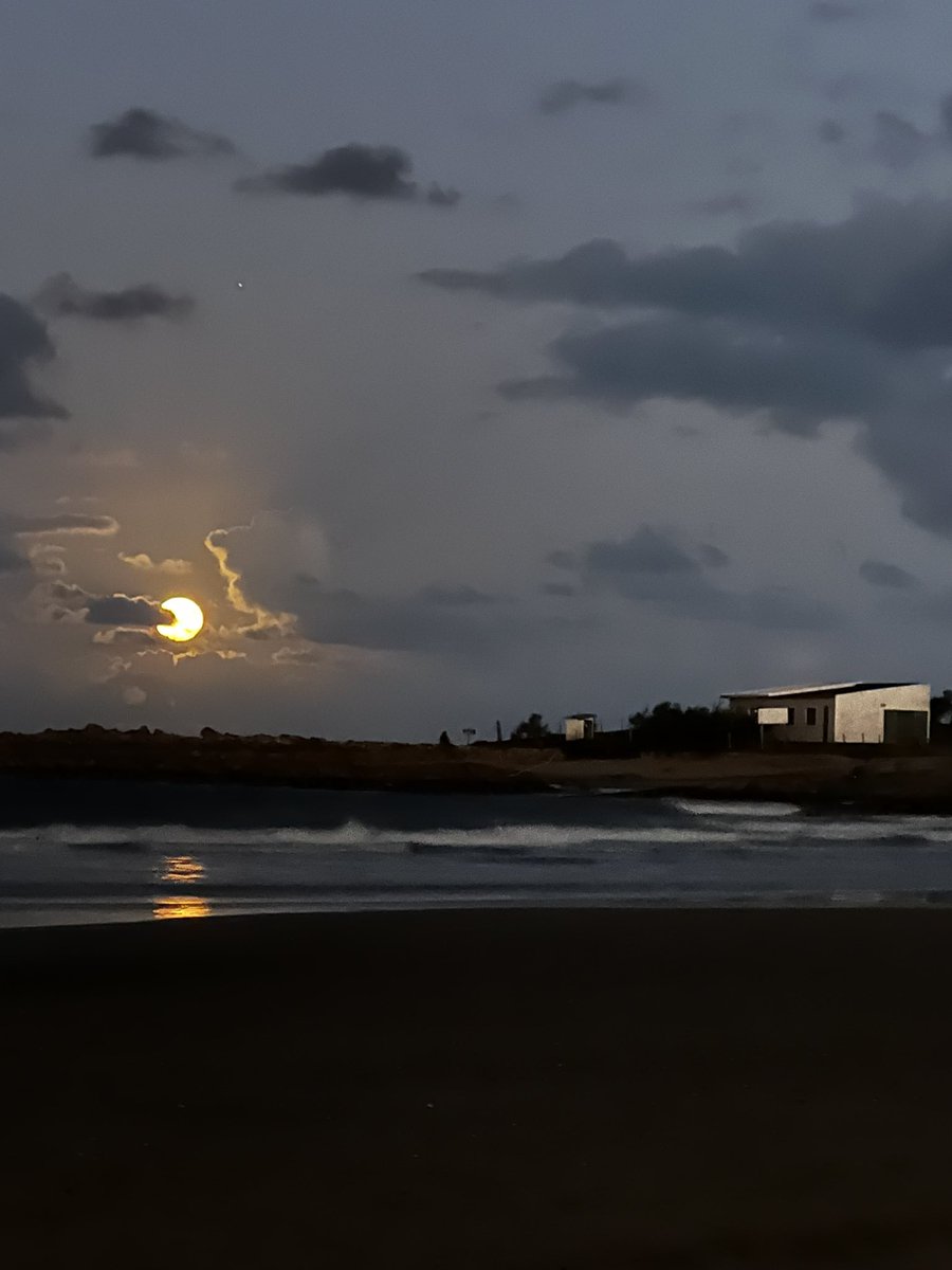 Julliett2002's tweet photo. Noches de Luna llena en el cabo polonio, la magia del cabo polonio…
Gracias , gracias, gracias 🙏 https://t.co/ZIWXfjIBwi