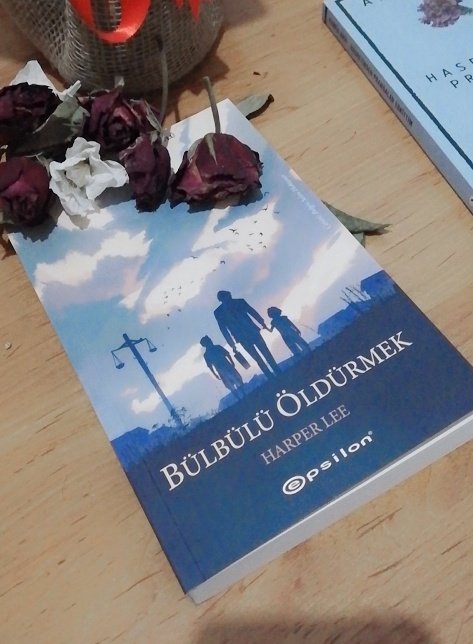 Bülbüller bizi eğlendirmek için şarkı söylemek dışında bir şey yapmaz. İnsanların bahçelerindeki bitkileri yemezler, mısır ambarlarına yuvalanmazlar, tek yaptıkları iş bize içlerini dökmektir. İşte bu yüzden bülbülleri öldürmek günahtır...
#HarperLee
#BülbülüÖldürmek