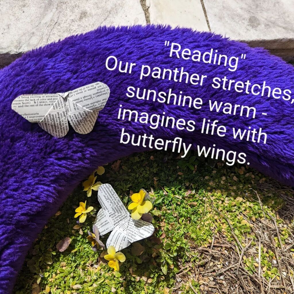 NHSSReads's tweet photo. A Haiku for National Poetry Month
#NHSSReads #NHSSLibraryWonders https://t.co/OXEyBB0BpB https://t.co/DyhzWT1961