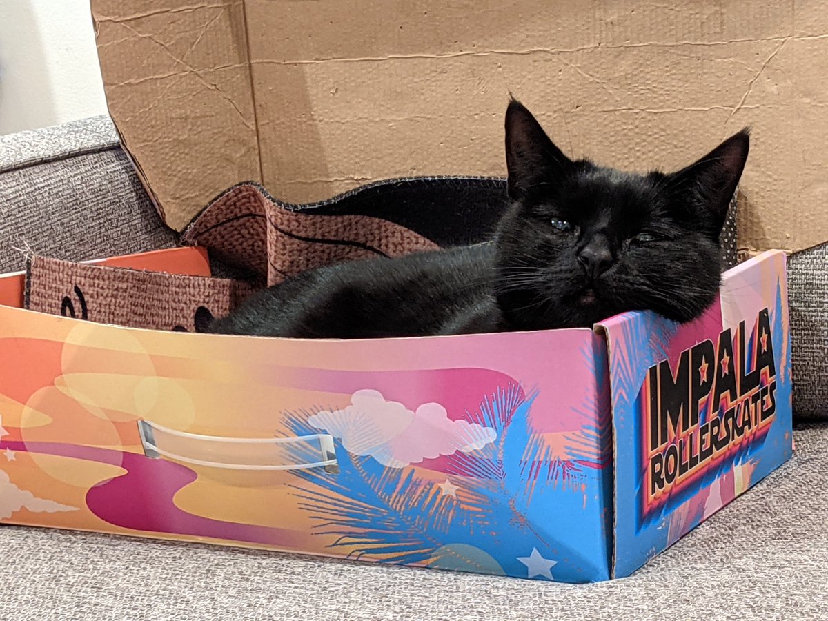 Gustavo Espinoza Ramos tweet media