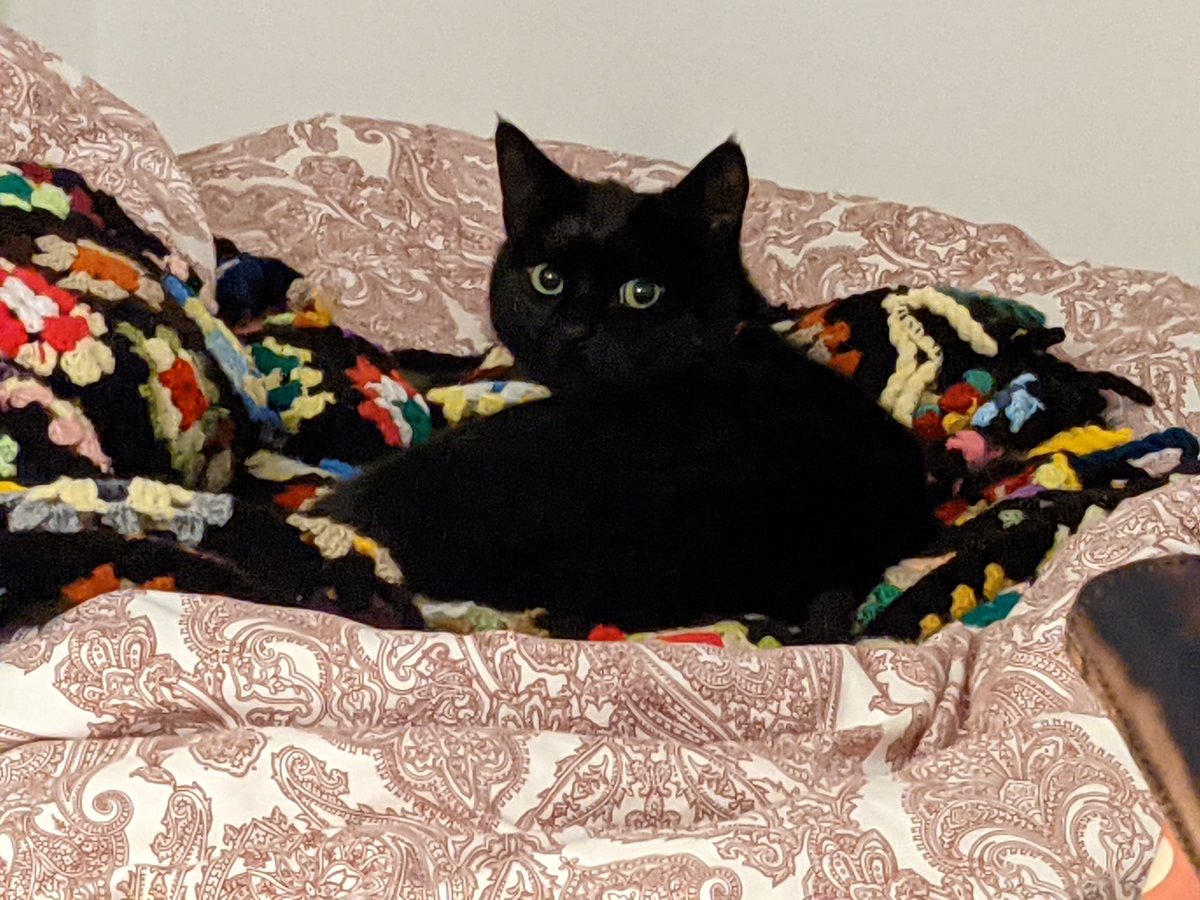 Gustavo Espinoza Ramos tweet media