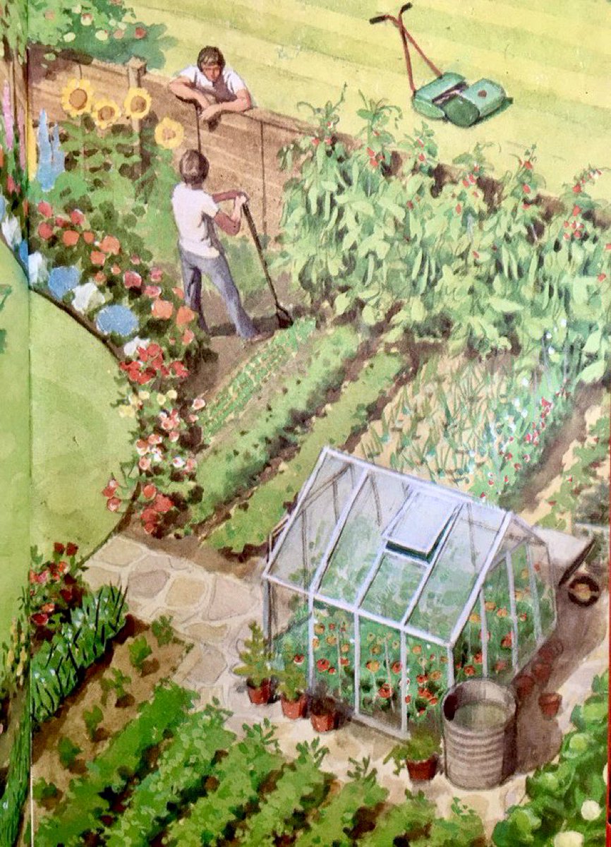 LBFlyawayhome's tweet photo. How to be a Ladybird man, part 36.  

In important matters, strive for perfection
#HarryWingfield https://t.co/hLh6vgJ9ds