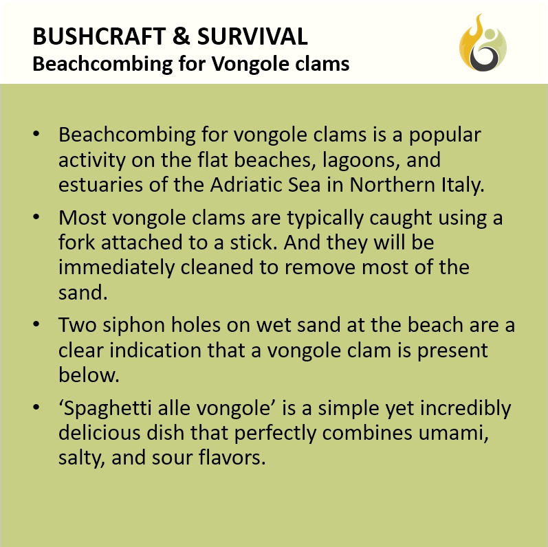 Bushguide101 tweet media