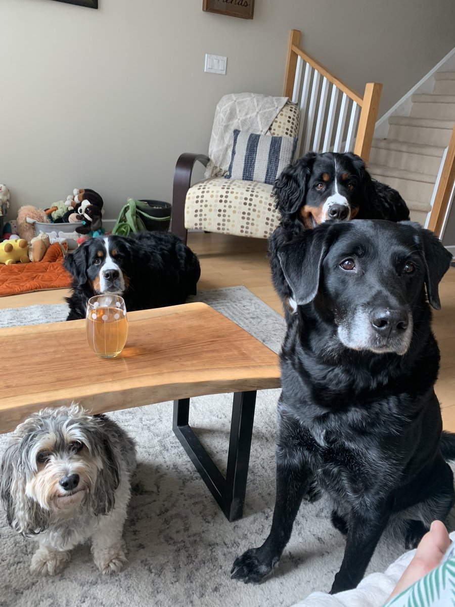 bmads36's tweet photo. @Goodable Snoopy, Mia, Teddy and Stella. https://t.co/B3LUPyyqSi