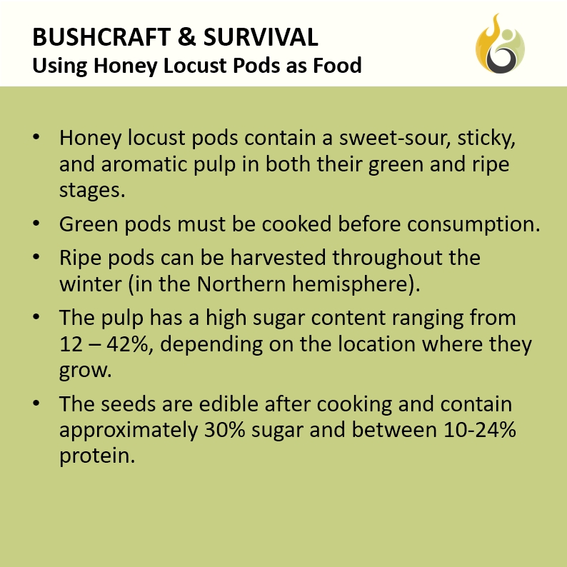 Bushguide101 tweet media