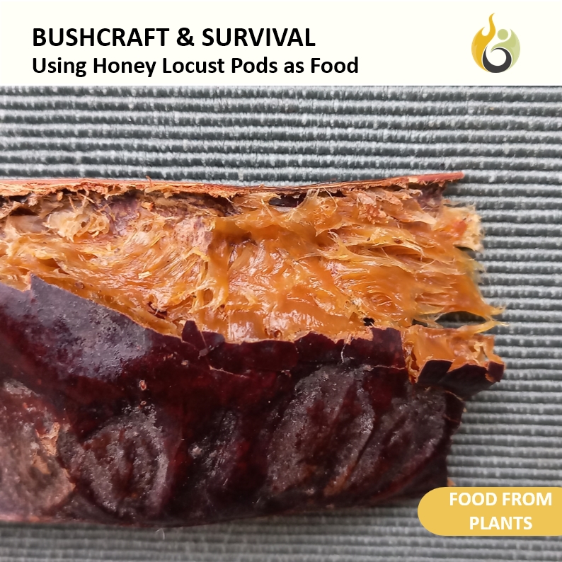 Bushguide101 tweet media