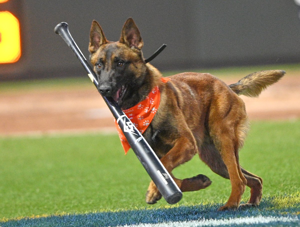 The Warren Group tweet media