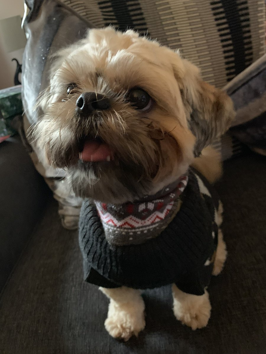 Jade Spindler tweet media