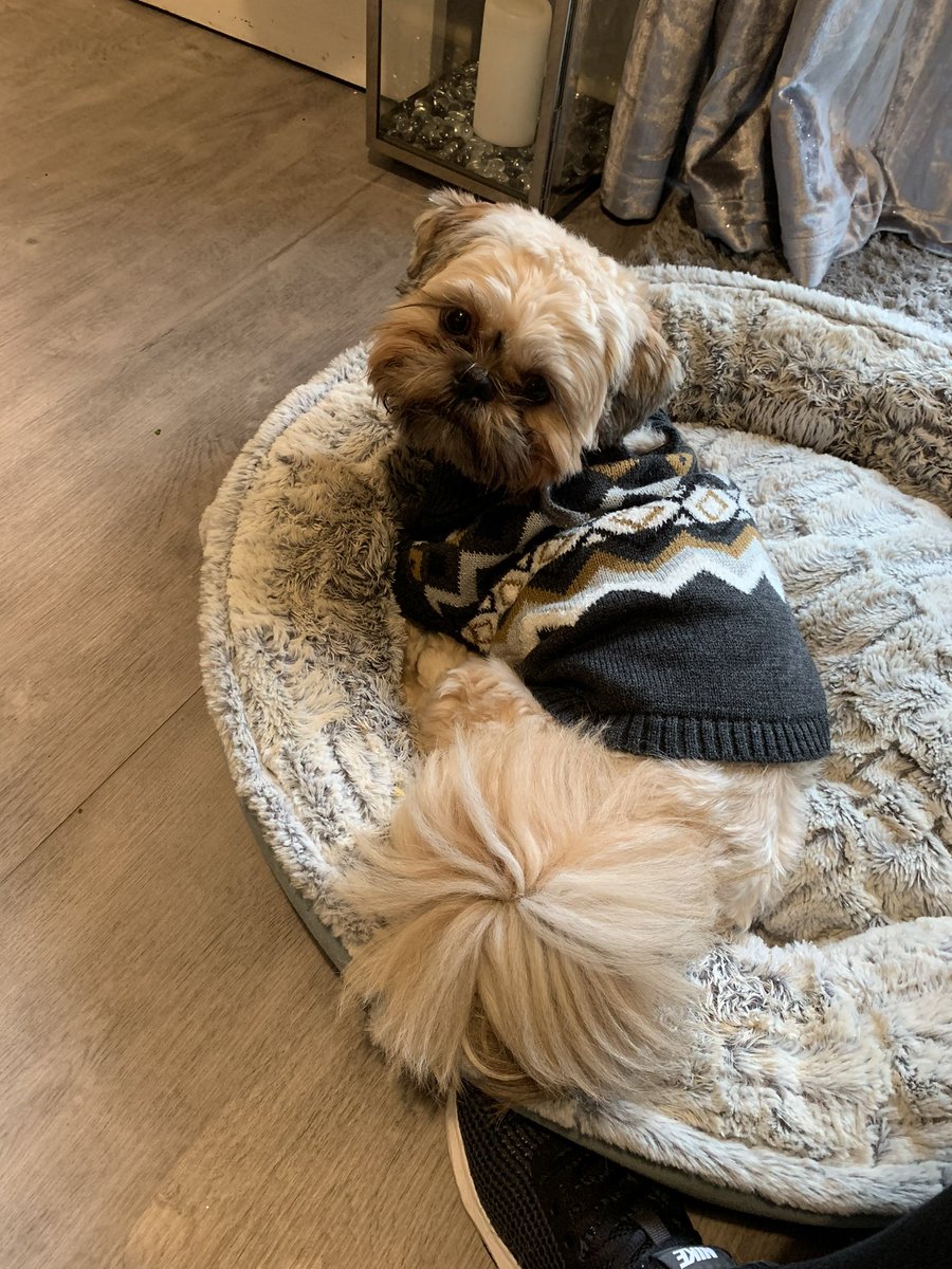 Jade Spindler tweet media