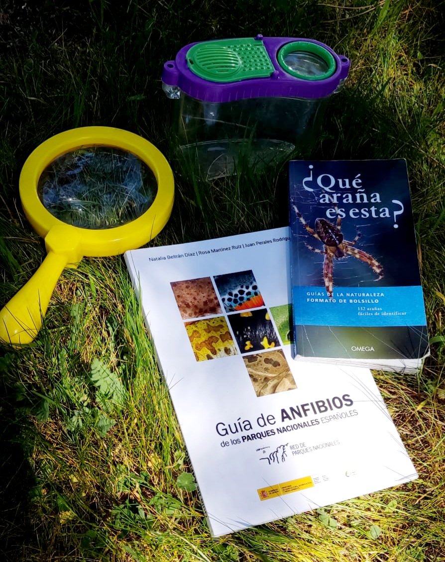kellypch's tweet photo. Compaรฑeros inseparables de nuestros viajes y escapadas a la naturaleza...
#weloveSTEM
#kidsinnature
#ecokids https://t.co/T8K65hQi7K