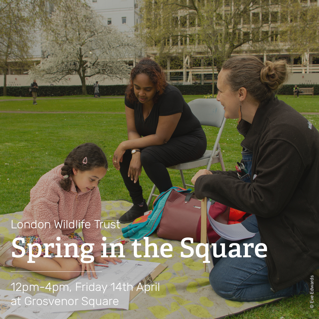 Come and celebrate the arrival of spring! On 14th April between 12pm-4pm, join @WildLondon in Grosvenor Square and take part in creative workshops.  This is a free event, so don’t miss out! 🎨 🌻 
For more information and to book a craft session visit:  (bit.ly/41g7TEF)