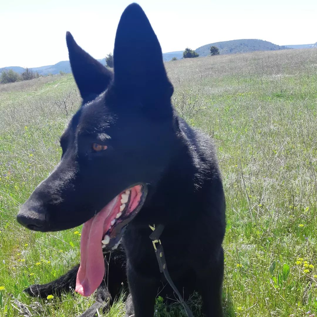 kiframipra (@kiframipra) on Twitter photo 