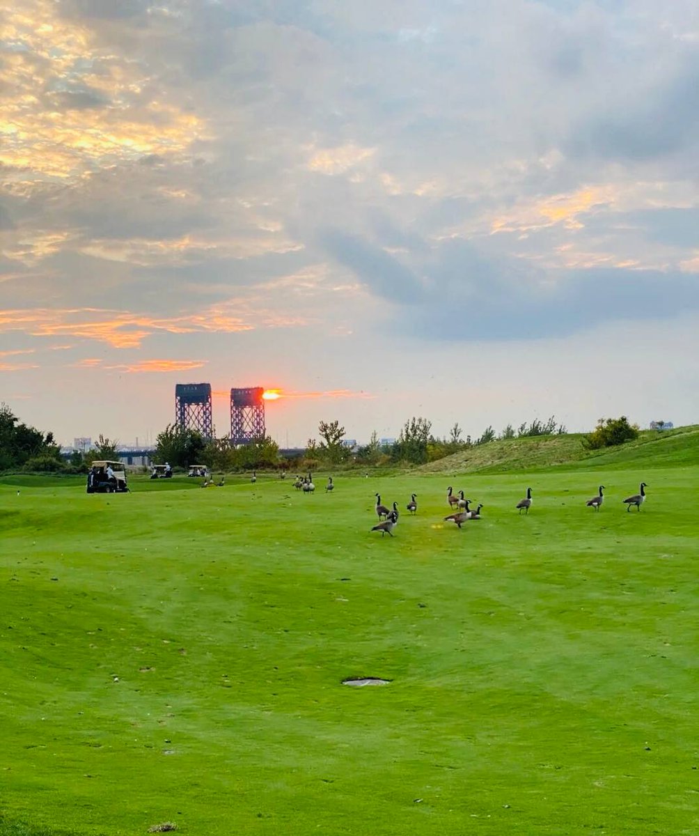 TuningAG's tweet photo. share with you to see how my golf skills are, lol⛳️⛳️ https://t.co/Q6V9X2vxVC