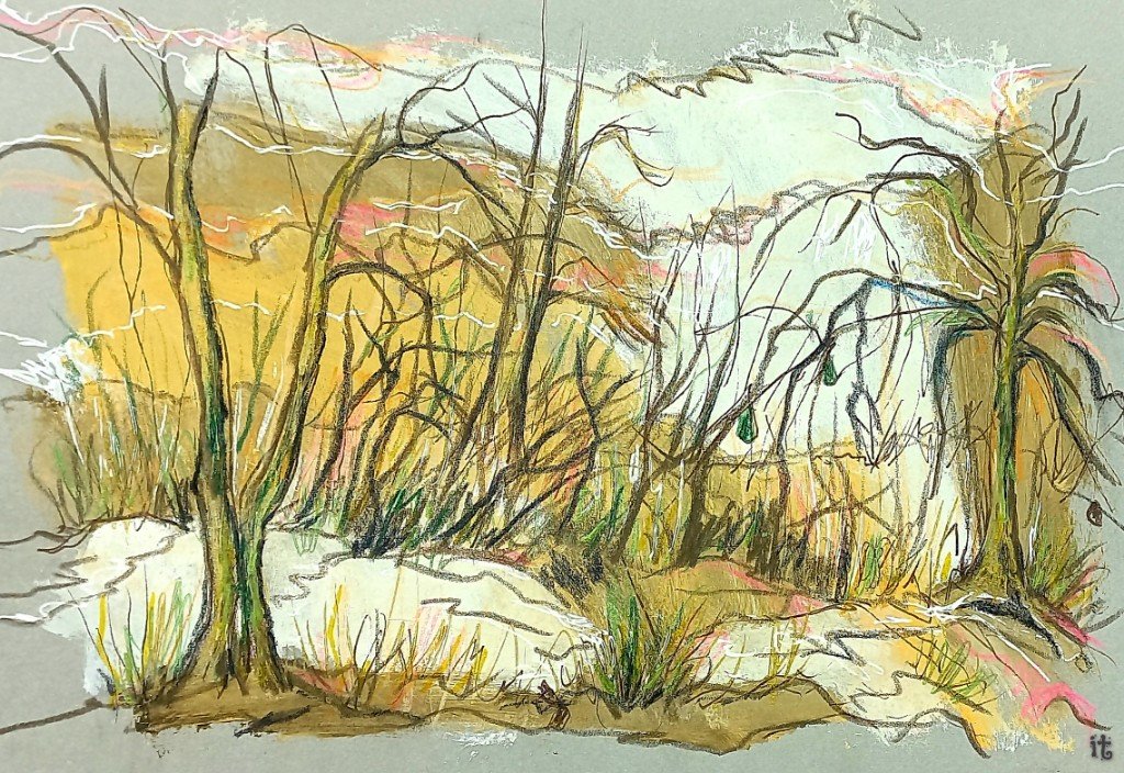 iterpstr's tweet photo. Wát een heerlijke ruige wildernis daar, dat is natuurschetsen op z'n best💛 #broek #gemeentebrummen #gld #aquarel #kleurpotlood https://t.co/YiTj6oPh89