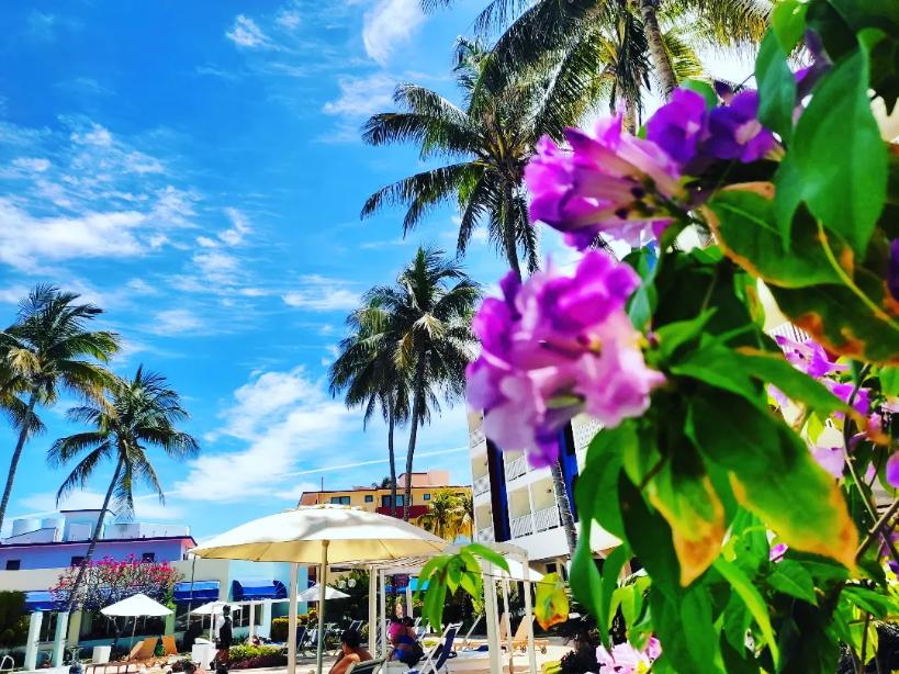 Excelente día para todos desde el Hotel Club Tropical 🙋❤🌞🇨🇺🌴