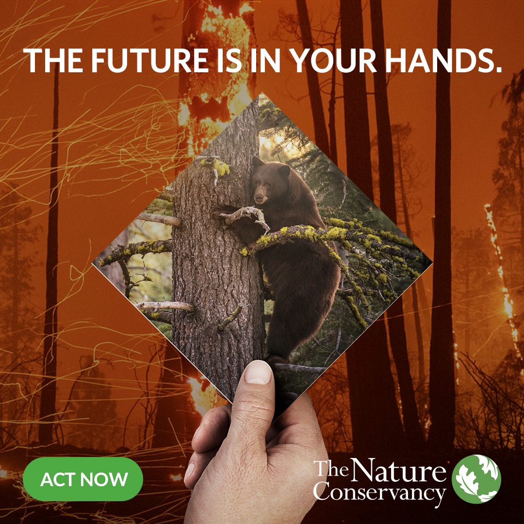Conserve_CA's tweet photo. #CALeg: It's critical that we fund a $15B Climate Bond now.

Without an immediate and significant investment, the cost of climate change to CA is estimated to reach $113 billion annually by 2050. But we can curb these costs significantly if we invest today. #ChooseItORLoseIt https://t.co/ssopLWA7Jc