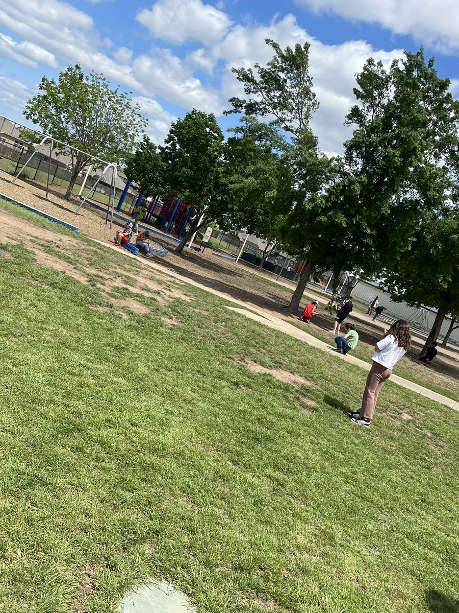 young_teaches's tweet photo. Don’t mind us. We are just finding living and non-living things. #jpepride #fourthgradeisthebestgrade https://t.co/OTzNEoSYF7