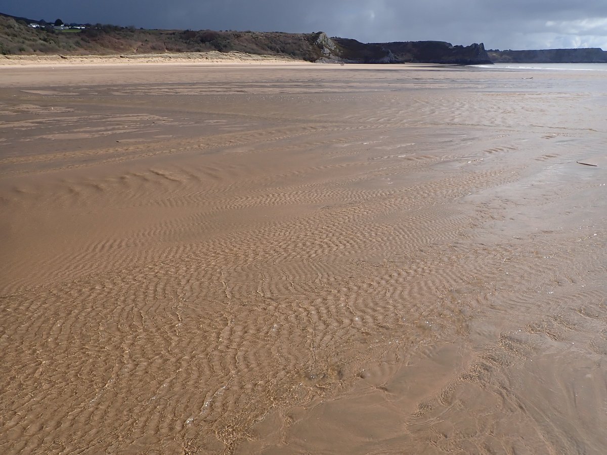 Phil Weber tweet media