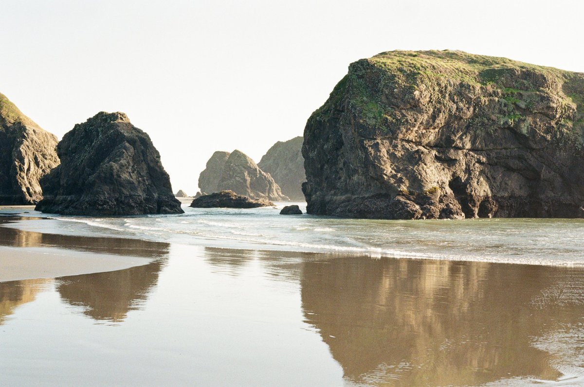 forestoutside's tweet image. Southern Oregon Coast 🎞️
