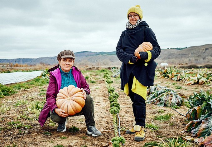 Foto cedida por Ayuntamiento de Rivas