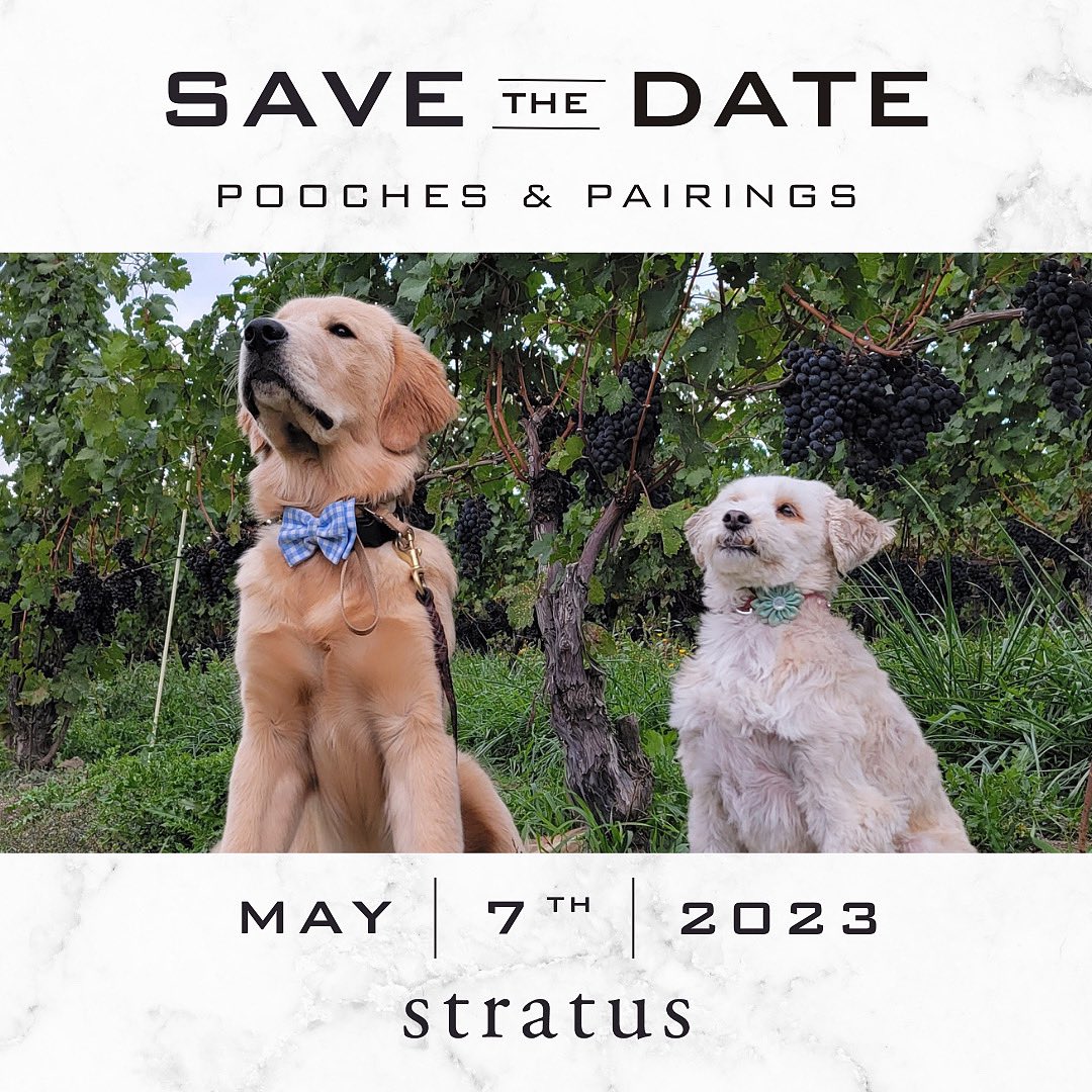 #NationalPetDay is the perfect time to announce...
On May 7, we will be hosting our inaugural #PoochesandPairings event. Enjoy a leisurely stroll in the vineyard and enjoy seasonal sips, local bites and, of course, treats for your canine companions. $38 tickets on sale next week!