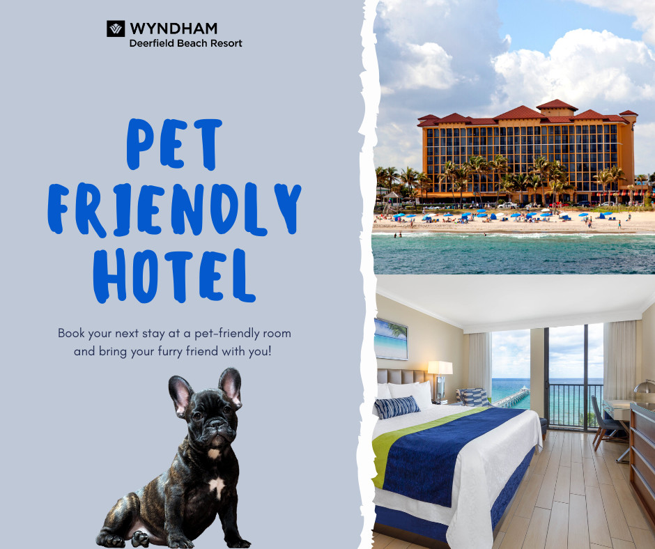 Book your next stay at a pet-friendly room and bring your furry friend with you!! 🐶

wyndhamdeerfieldresort.com

#petday #petfriendlyhotel #pet #vacation #deerfieldbeach #wyndham