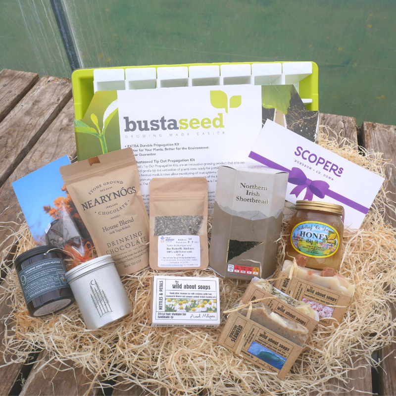 True Harvest Seeds tweet media