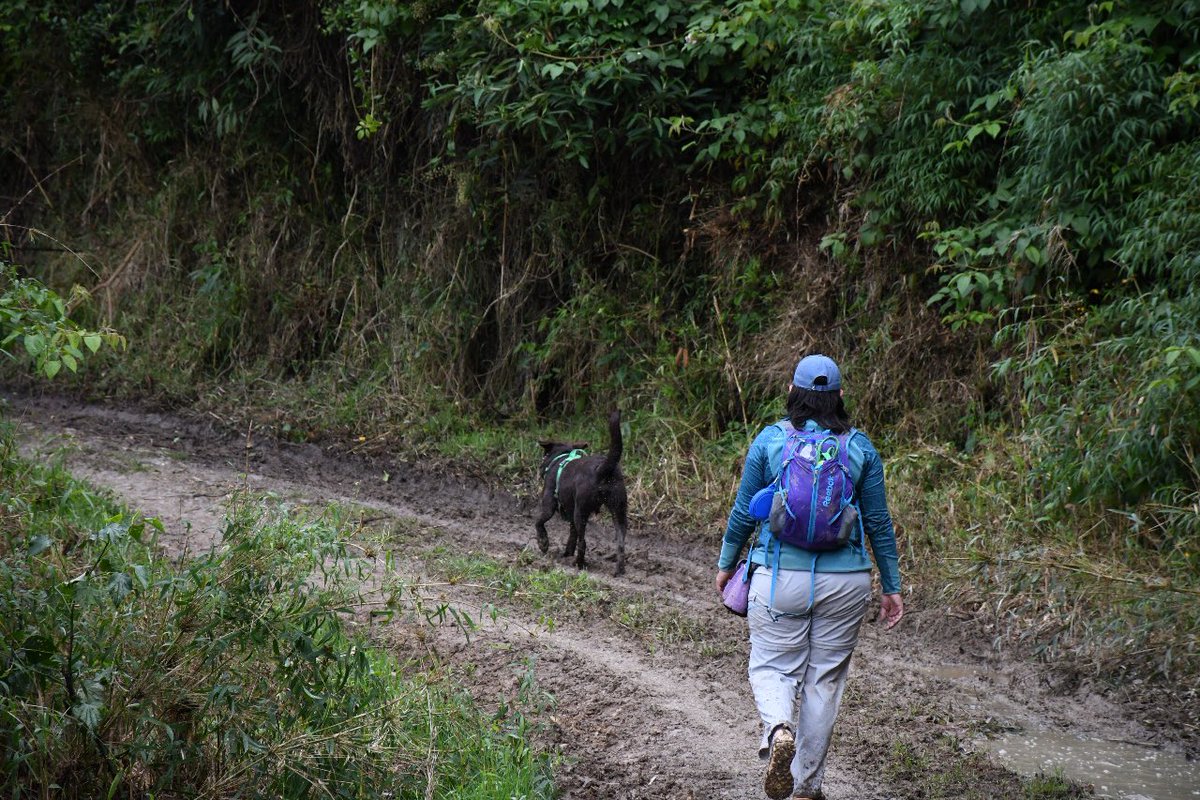 cruzrojabogota's tweet photo. ¡Cambia tu rutina del fin de semana!

El próximo 22 de abril realizaremos una Caminata Ecológica Canina para que tu perrito y tú puedan disfrutar y ejercitarse en medio de la naturaleza.

¡Reserva tu cupo! 🐕 https://t.co/BNiynelLNL

#Árbol #Senderimo #Dog https://t.co/OU3n6EitLn