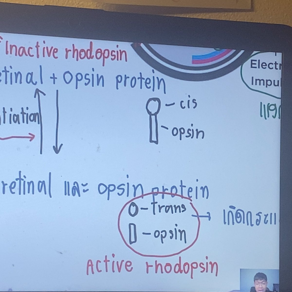ideaplanerr's tweet image. 29 day of 359day

วันนี้อ่านเลขเยอะเกิน5555นั่งทำโจทย์เพลินไม่ค่อยได้เรียนฟิสิกเบยเเงง

ฝึกทำtpat1วนไปงับบบ+ท่องศัพท์ไปนิดนึง:)))เราว่าจะเริ่มอ่านข่าวดูอยากได้ศัพท์เยอะๆรู้สึกอ่อนศัพสุดๆเเล้ว
ทวนชีวะด้วยฮะวันนี้สรุป20จำ10

 #วันนี้dek67ทำอะไร