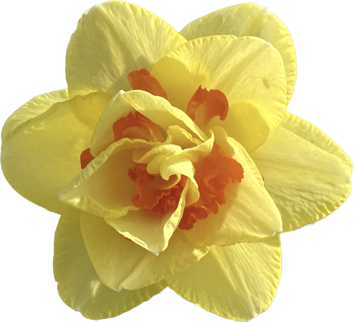 fifi3chui_'s tweet image. Playing with #phonetechnology #iphone #apple