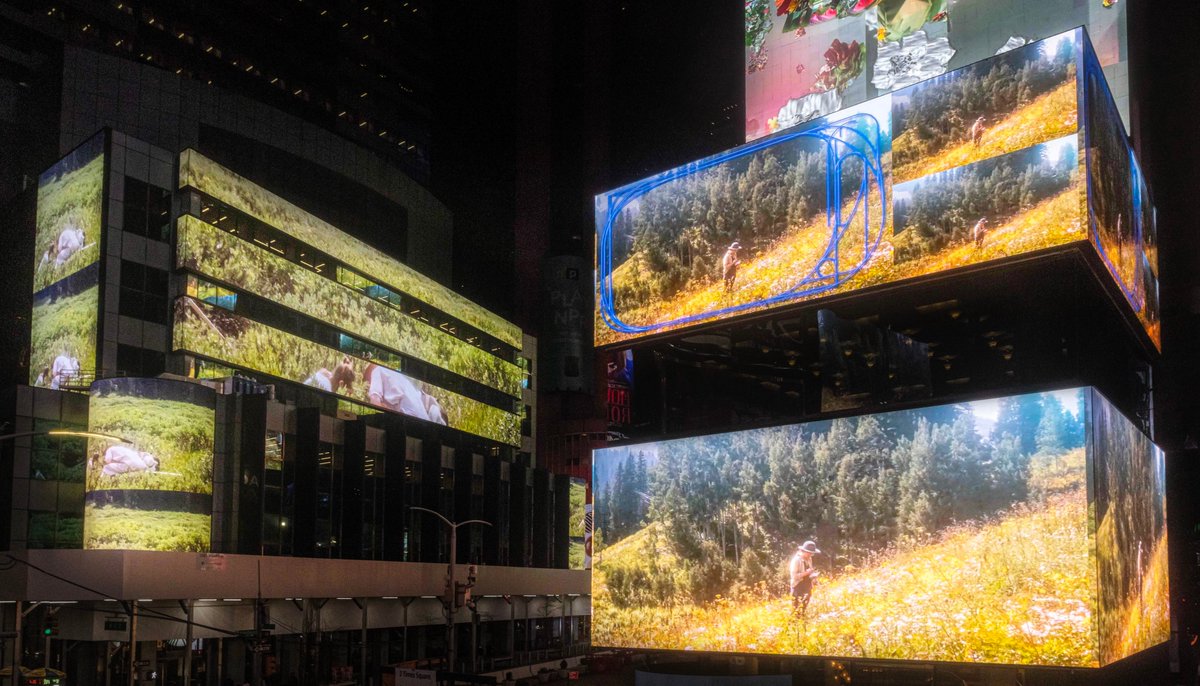 Paul CaraDonna tweet media