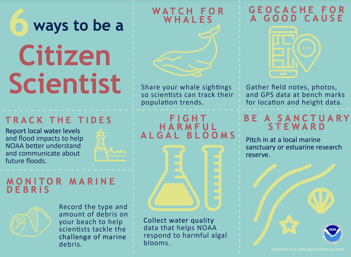 TXSeaGrant's tweet photo. The idea behind citizen science is that anyone, anywhere, can participate in meaningful scientific research. Here are six ways you can be a citizen scientist for NOAA. https://t.co/VtXDcxp5C0