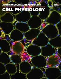 APSPublications's tweet image. New in @AJPCellPhys: #Bicarbonate is the primary inducer of KCC3a expression in renal cortical B-type intercalated cells (Ferdaus et al.)

ow.ly/6s7a50NG8r5

@VUMChealth @VUMC_Medicine @EmoryMedicine #IntercalatedCells #Alkalemia #Pendrin