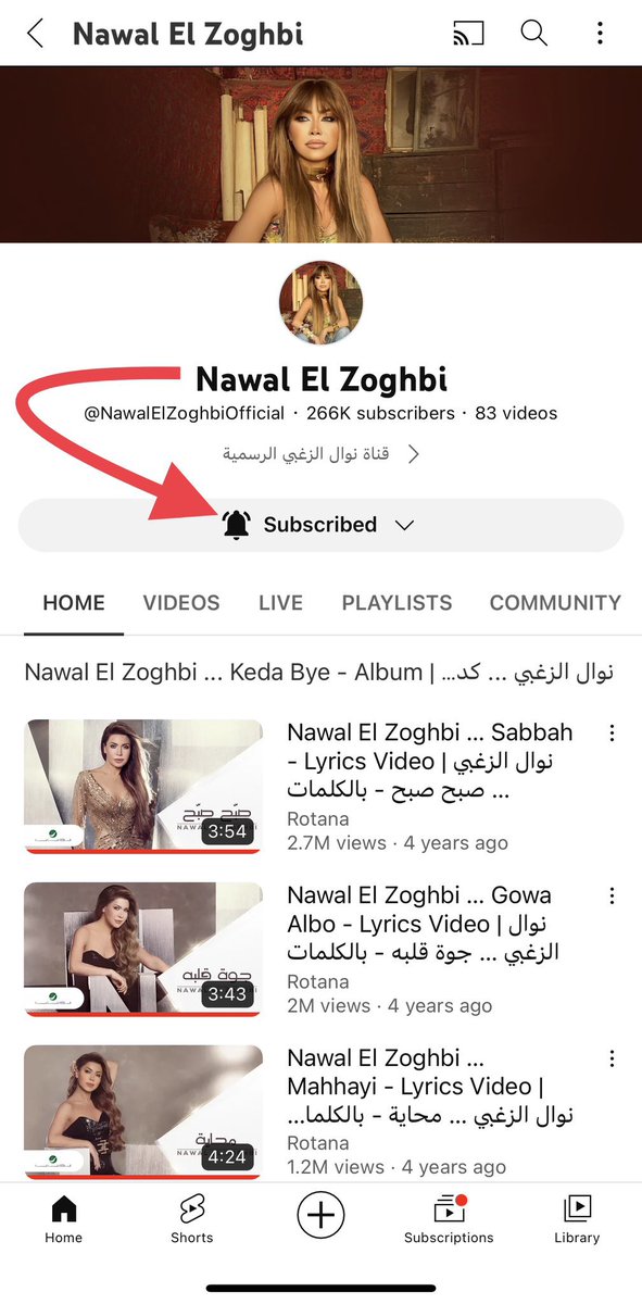 wahabnz92's tweet image. ناطرين على نار المفاجئات الحلوة منك دائما 😍

Always and forever #LoveU #OnlyU

#نوال_الزغبي #StayTuned 🔜 🔜 🔜 

ماتنسون تفعلون زر الجرس على @YouTube 

على قناة النجمة الذهبية @NawalElZoghbi 

youtube.com/@NawalElZoghbi…