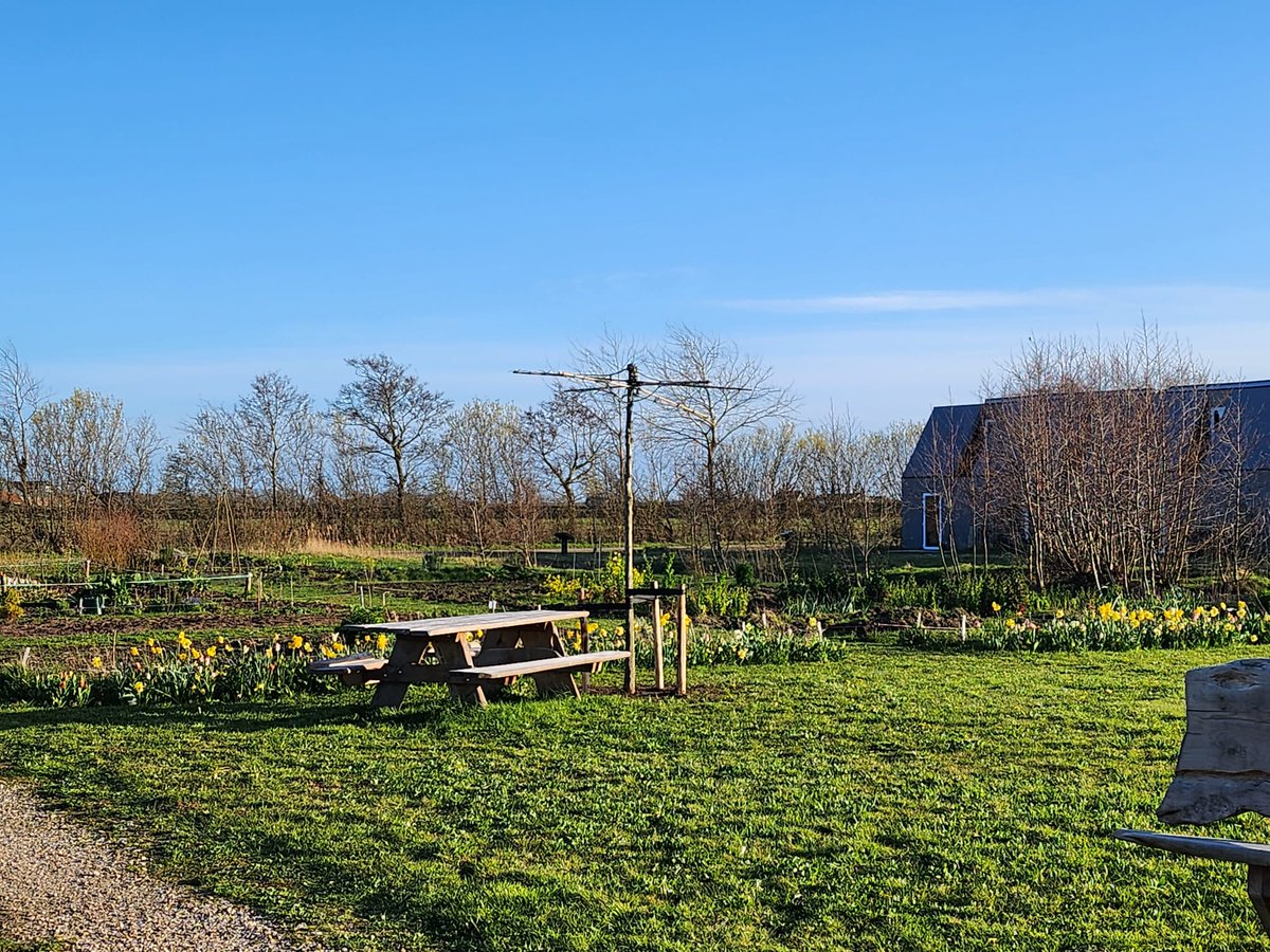 Buurtvereniging Buurtskap de Tuunen (@buurtskap) on Twitter photo 