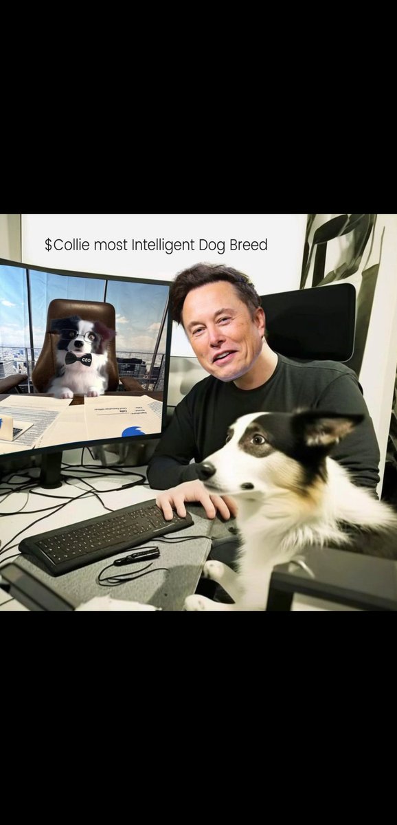 faisalalblwi's tweet photo. @CryptoL14736 @Collieinu_token @elonmusk https://t.co/WZ8wkka1xb