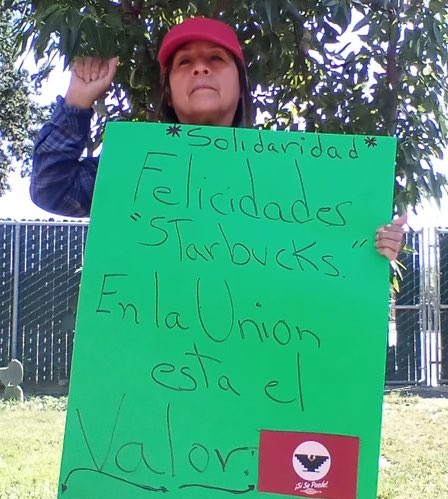 UFWupdates's tweet image. Farm workers are in solidarity with @SBWorkersUnited baristas. @Starbucks needs to be the progressive company they claim they are and stop union-busting. #StickItToStarbucks