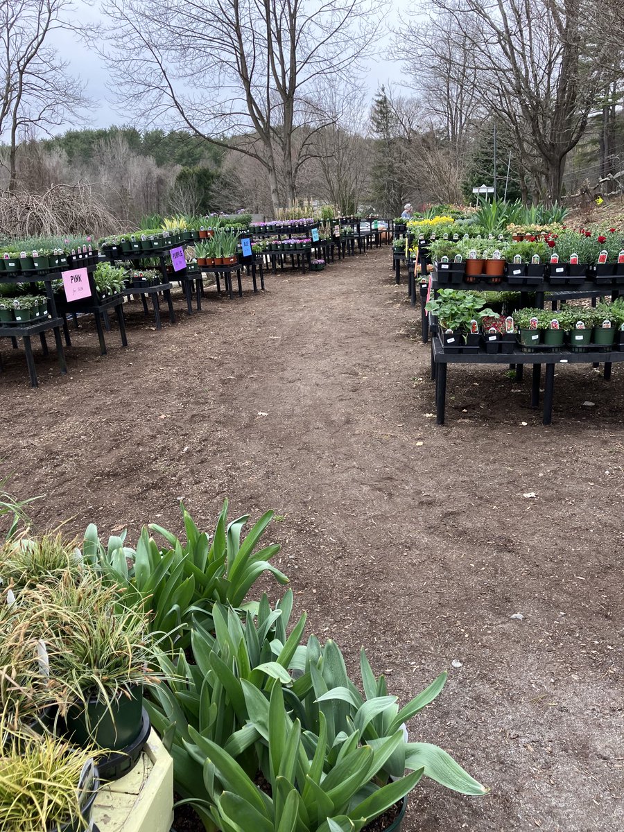 WalkerFarm's tweet photo. First load of perennials, trees &amp; shrubs ready for these 70 degree days! https://t.co/dS5FLlAMq8