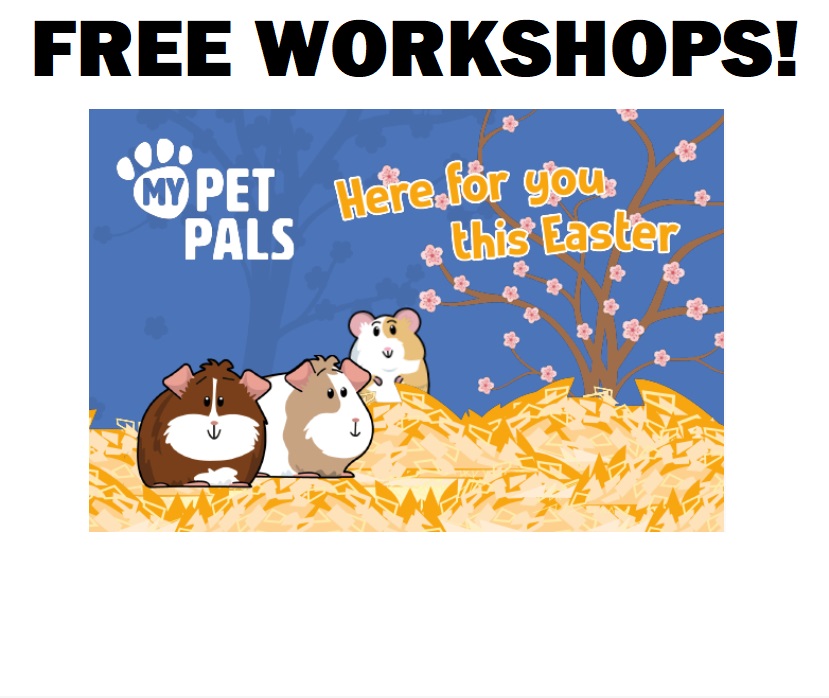 SliceofLife234's tweet photo. FREE Pets at Home Easter Workshop! Until April 16

FOR MORE INFO, CLICK HERE▶️▶️ https://t.co/aFMgksZFqh

#free #freebies #freestuff #freeproducts #ukfreebies #ukfreestuff #PetsatHome #Workshop https://t.co/bXHO5fvi1n
