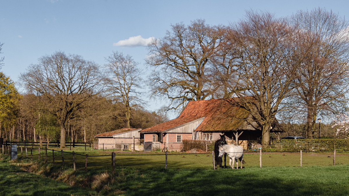 AnnySpoolder's tweet photo. De dag afgesloten met een avondwandeling in #Bornerbroek #Azelo. Fijne avond gewenst! 🏠🍃🍀#visithofvantwente https://t.co/w8yFcm4ObV