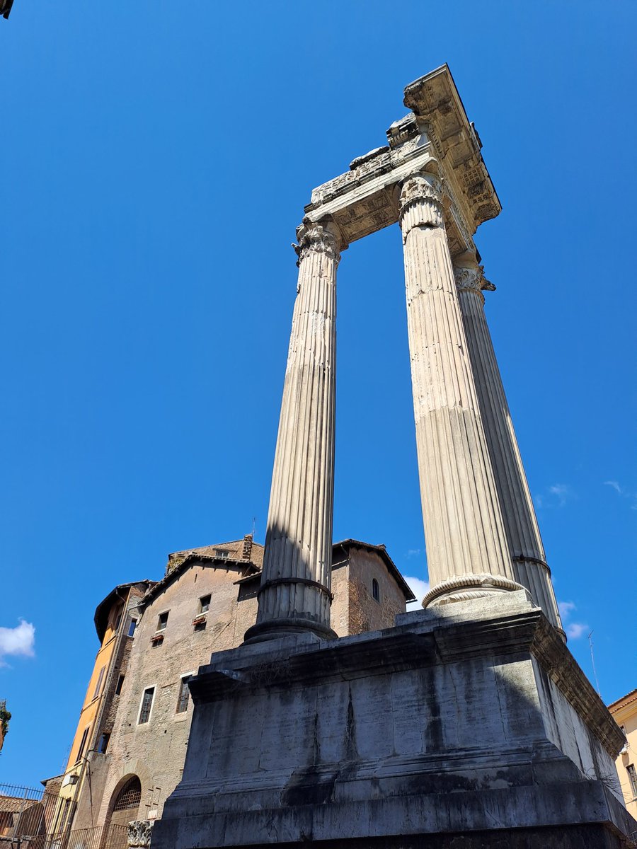 Mary_friends11's tweet image. Quel che resta. 
#Colonne 
#Tempio
#Roma

Tempio di Apollo Sosiano. My 📸