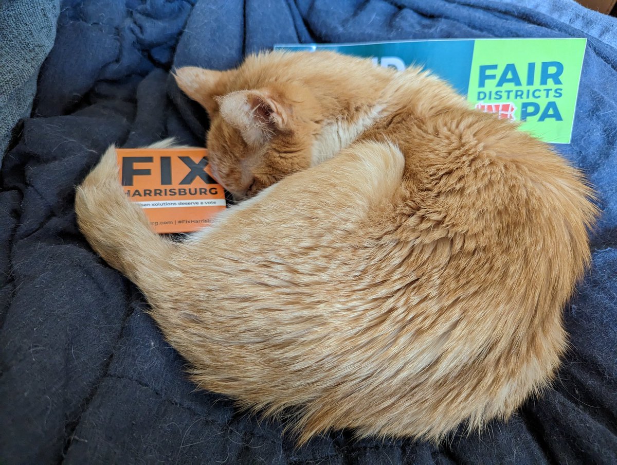 Atgry knows that we need to #FixHarrisburg because bipartisan solutions like @RepMcNeill's HB846 #VictoriasLaw deserve a vote! Rescue pets like him need homes, and puppy/kitten mills need to end. As on so many other issues, the most vulnerable Pennsylvanians have waited too long.