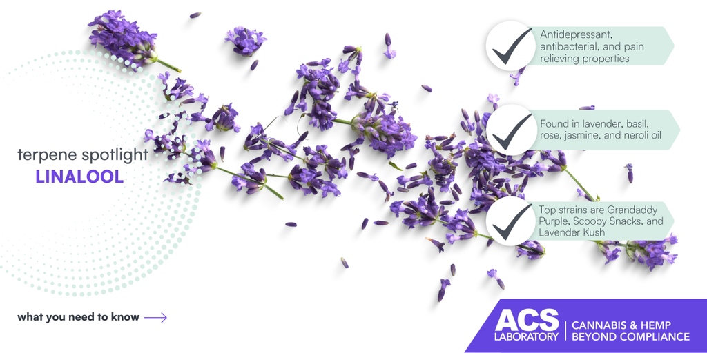 ACSLaboratory's tweet image. Discover the beauty of nature's healing properties with Linalool - it's perfect for calming down and easing tension while adding a touch of floral fragrance. 😍 ☘️ 👇👇

acslabcannabis.com/blog/https-acs…

#Terpenes #CannabisTerpenes #Linalool #Cannabishealth #ACS #ACSLaboratory