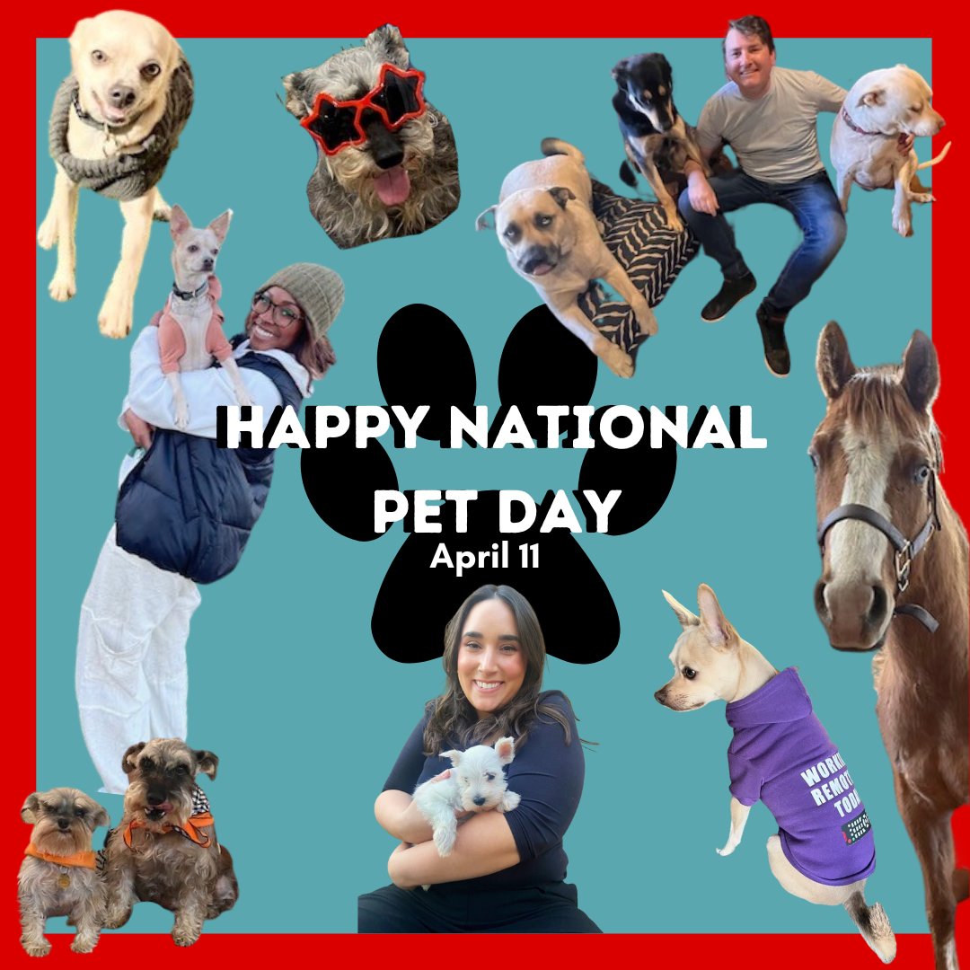 MagellanExecs's tweet photo. Happy National Pet Day! 🐶🐱🐴

Tag us in your pet pictures (we are always down for cute animal spam!)
.
.
 #nationalpetday #petday #magellanexecutivepartners #magellan #business #leadership #executives #csuite #ceo #executive #leader https://t.co/vfHNlz5cAJ