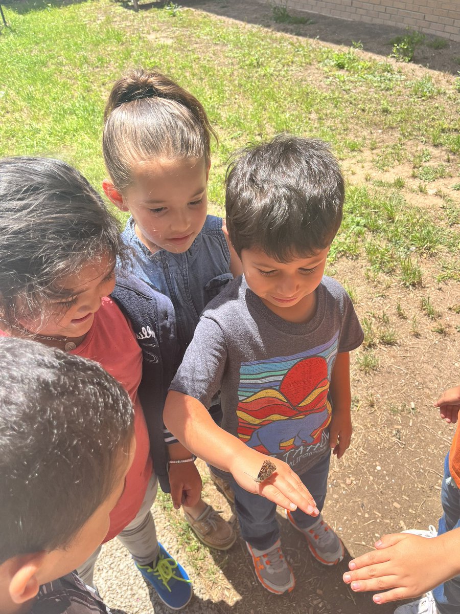 Maricela Velez tweet media